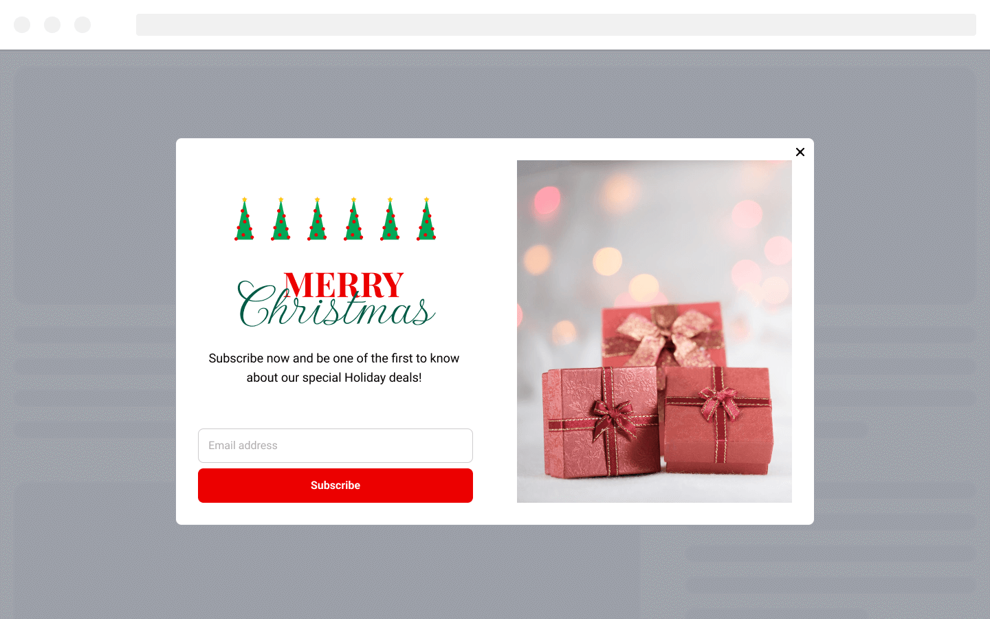 Merry Christmas Newsletter Subscription