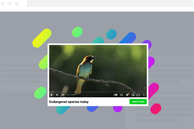 Gradient Background Video